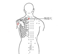 陶道穴 陶道穴