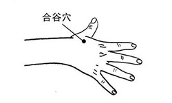 合谷穴
