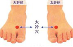 老艾堂春季艾灸 老艾堂春季艾灸