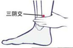 老艾堂春季艾灸 老艾堂春季艾灸